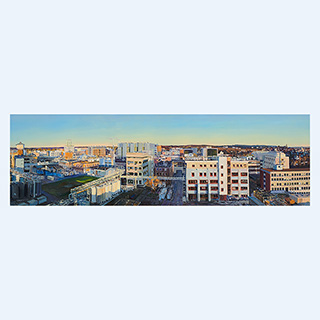 Panorama des Darmstädter Standortes | Merck | 2010 | 60 x 180 cm | Öl/Leinwand
